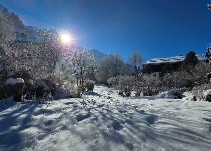Alpine Escape Mont Blanc At Your Window *