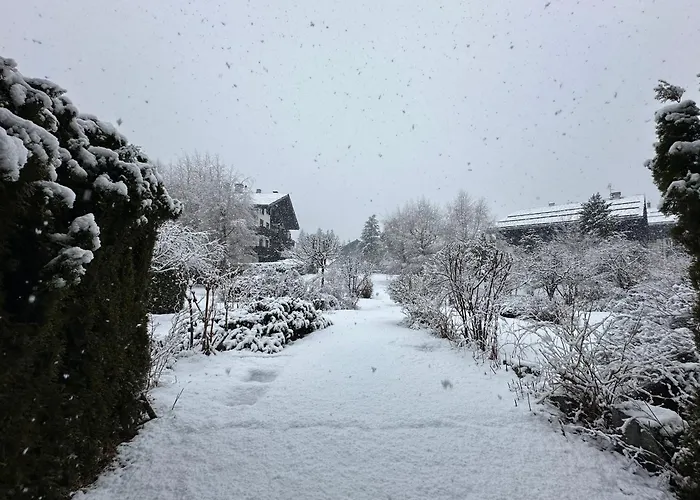 Alpine Escape Mont Blanc At Your Window